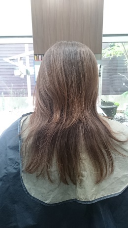 DSC_1236.JPG aya.JPG